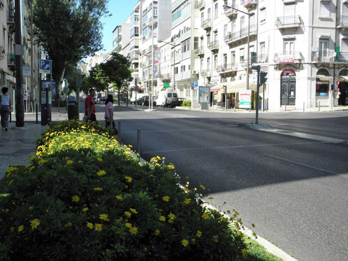 Sunny Orange Garden In Apartment