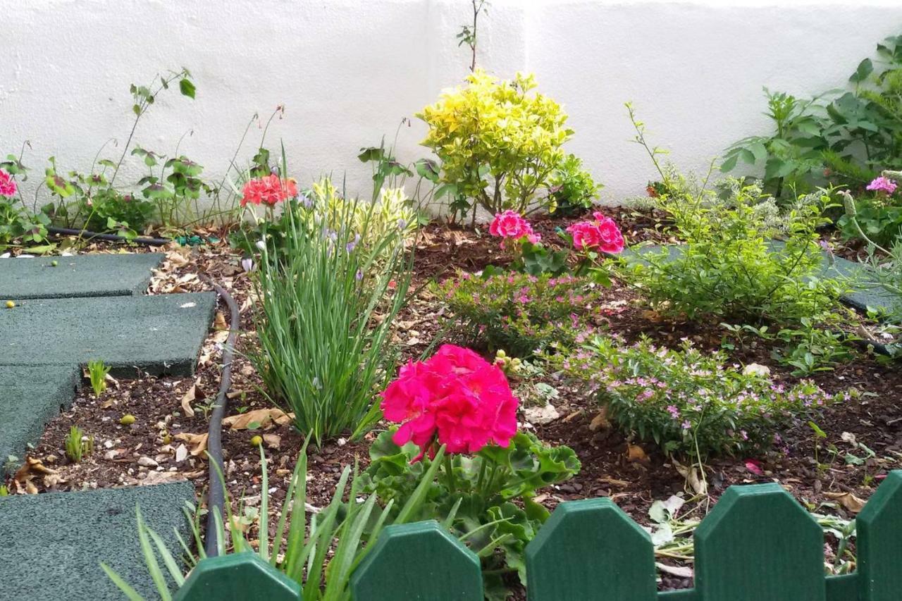 Sunny Orange Garden In Appartement